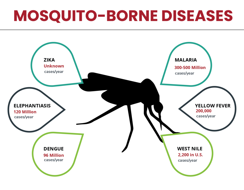 name two diseases spread by mosquitoes