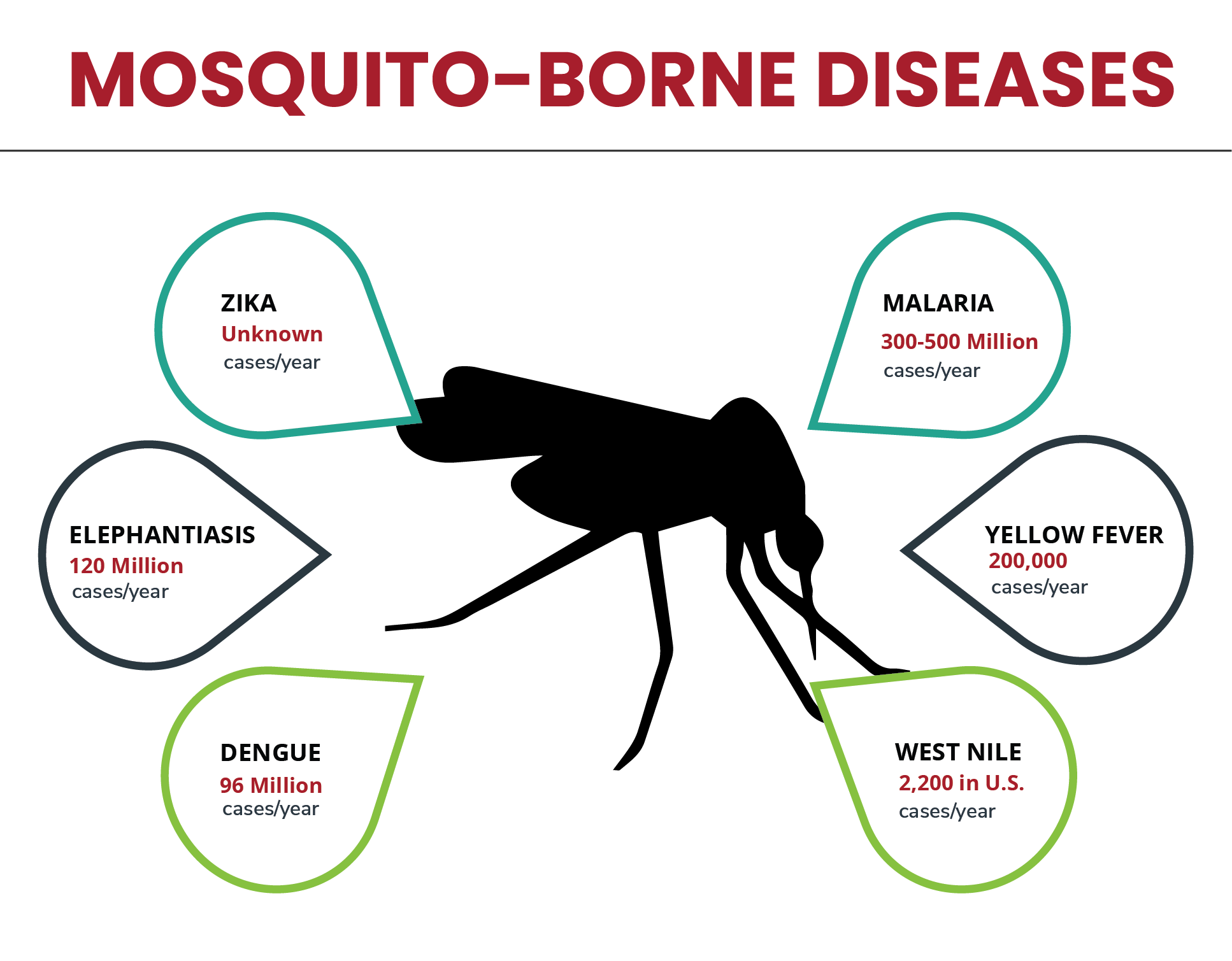 Am I At Risk Of Getting A Serious Disease From Mosquitos In America   Infographic 1 Diseases 